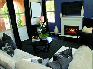 Kozy Heat Fireplace Insert: Chaska 29
