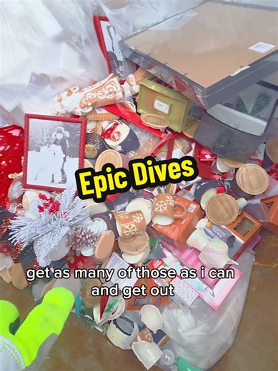 Epic Dumpster Dives: Unseen Finds and Treasures