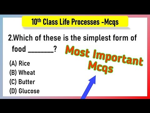 MCQ Questions for Class 10 Science Life Process with Answers | Life Process mcq