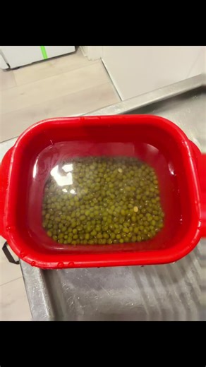 How long does moong take to sprout?