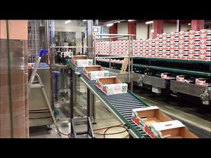 GREEFA - Närpes Grönsaker - SmartSort 8 lane grading machine for tomatoes in Finland