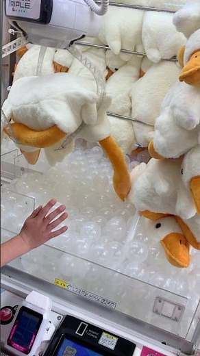 Winning the biggest prize at ‪@taitochannel‬ arcade in Tokyo #clawmachine #shinjuku