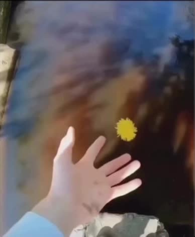 Get jingle belled 🔔🎅#fypシ゚viral #fyp #miss