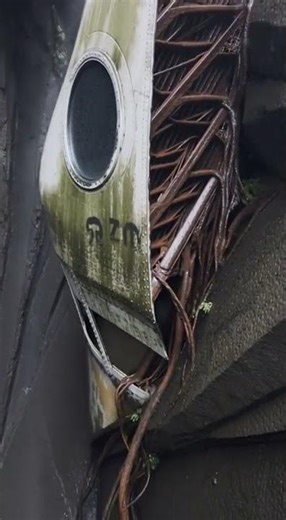 The Mountain Claimed the Shuttle #reel #ShuttleWreck #HyperNature