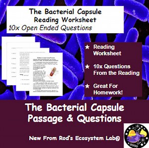 The Bacterial Capsule Reading Worksheet **Editable**