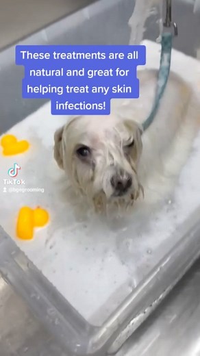 Regular bath VS Microbubble Treatment THE FACTS! Regular bath:...