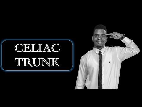 Celiac Trunk: Left Gastric, Splenic & Common Hepatic Arteries