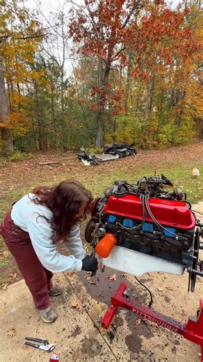 Fuel Pumps: SBC vs SBF?