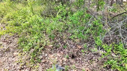 Colonial Heights opens water distribution site as boil advisory continues