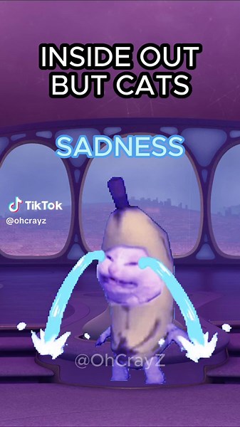 Inside Out but Cats: Bringing the Feline Magic to Life!