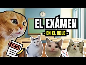 EL EXÁMEN, en el colegio (meme de gatos)