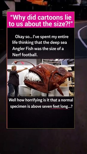 The Truth About Angler Fish Size – Cartoons Lied to Us! #fypシ