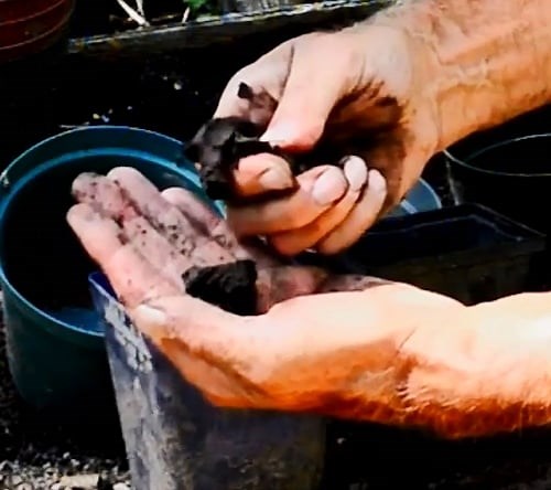 10 Easy DIY Soil Testing Tricks for Better Soil Health