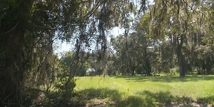 Music park could be coming to outskirts of Melrose