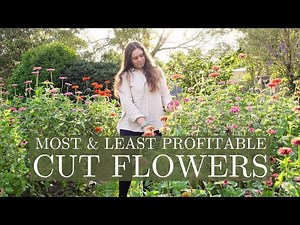 Most & Least Profitable Cut Flowers I Grew in 2023 💐 First Year Backyard Cut Flower Farm Australia