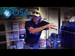 HOW to setup a Saltwater Reef AIO Aquarium (In One Hour!)