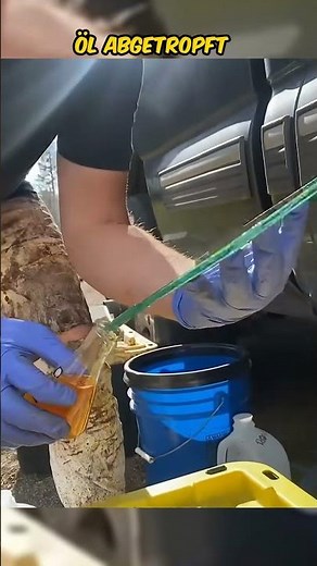 So machten Menschen Bilder, bevor es Kameras gab