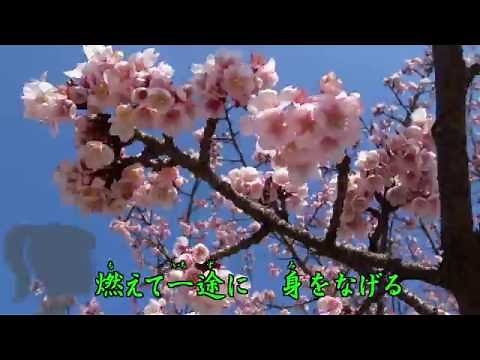 寒桜（西方裕之）カラオケ