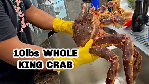 Meet Curtis, the 10lb crab stealing the spotlight