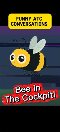 Funny ATC bee in the cockpit #aviation #airplane