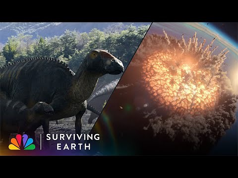 How Did the Dinosaurs Handle the Asteroid Hitting Earth? | Surviving Earth | NBC