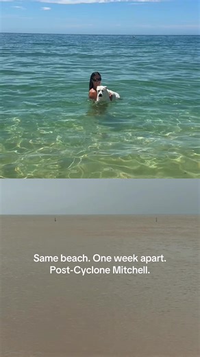 Post-Cyclone Mitchell Beach Transformation