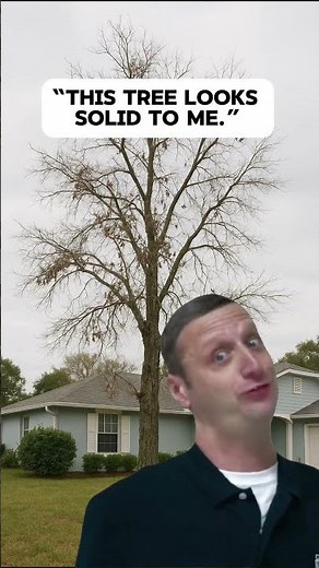 Outdoor Care Made Easy with A Cut Above 🌱