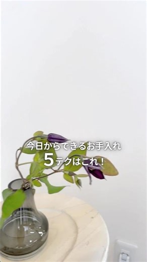 すぐ萎れるクレマチスの正しいお手入れテクをご紹介🌼 #クレマチス #花のお手入れ #花のある暮らし