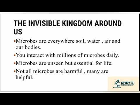 🎥 What Really Is Microbiology? – The Invisible World That Shapes Life