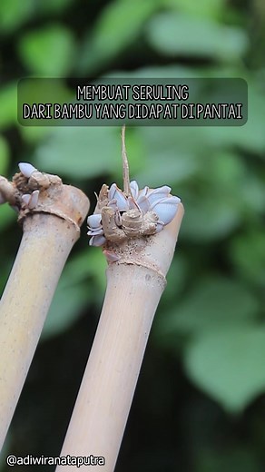 Adi Wira Nata Putra on TikTok