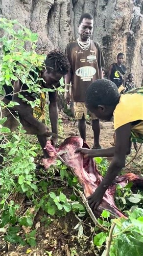Hadzabe Community Cutting and Roasting Baboon Meat in the Forest