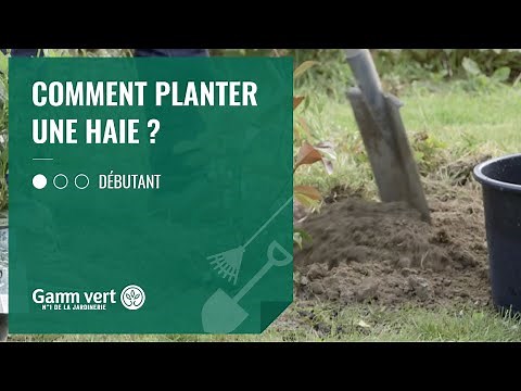 [TUTO] Comment planter une haie ? – Jardinerie Gamm vert