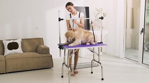 Dog Pet Grooming Table for Large Dogs Adjustable Height - Stainless Steel Foldable Professional Pet Station at Home, Portable Trimming Table Drying Desktop with Arms Nooses & Mesh Tray, 36''/ Blue