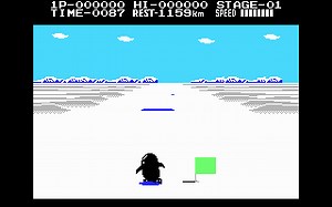 Antarctic Adventure game at DOSGames.com