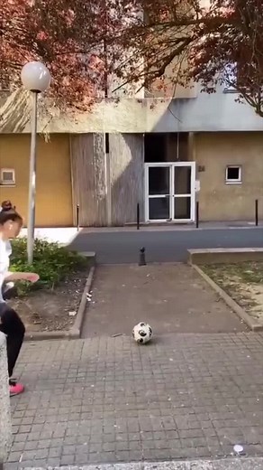 Low Hanging Balls Prank Compilation