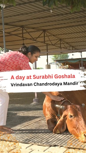 9.7K views · 471 reactions | In the scriptures and stories of...