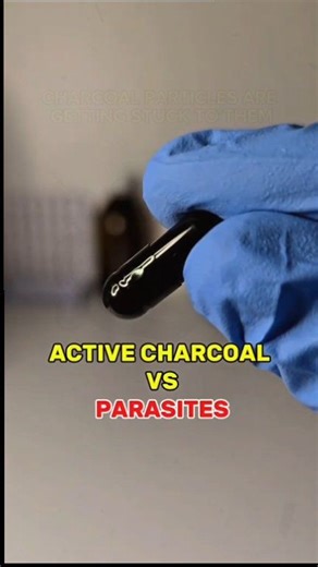 ACTIVE CHARCOAL VS PARASITE Microscope Under 🔬 . . . . #charcoal #lab #microscope #undermicroscope #Amazing #foryou | Microscope Under