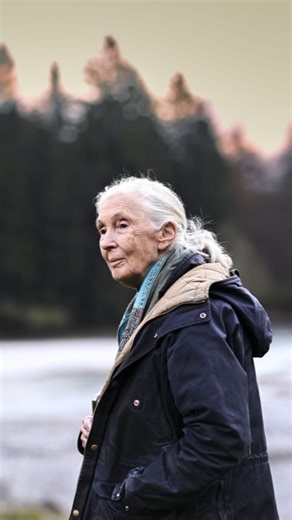 Jane Goodall Institute 🇨🇦 on Instagram: ""I am this person because Jane built a world where someone like me could exist." Chloë Chang, one of our former Youth Advisory Council members and one of our current Board Members, spoke about Dr. Jane's legacy and impact weeks ago, when we came together for our Canadian memorial. She said she was "living proof" that Dr. Jane and the Jane Goodall Institute of Canada inspire young people – and empower them to be the true leaders they are. And she said th