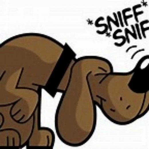 Great Sniff Sound Of a Hound Dog Sniffing Sound Effect