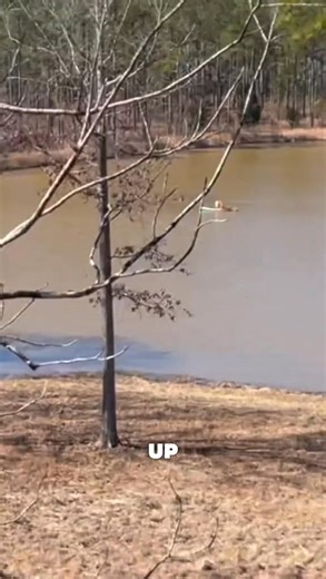 1.2K views · 23 reactions | Rifle VS Propane Tank #explosion #fyp #fypage #shoot | Southern Adventure | Facebook