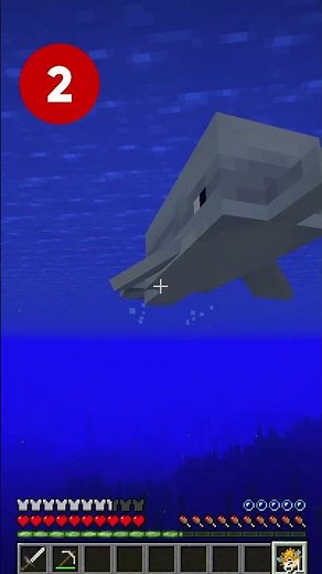 Pufferfish have SECRET uses in Minecraft