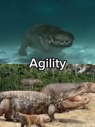 Deinosuchus vs Purussaurus #deinosuchus #purussaurus