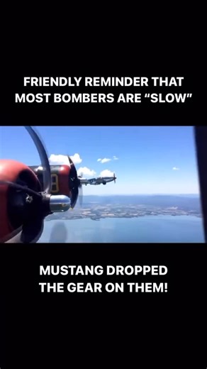 Turn ‘N Burn Apparel on Instagram: "For #MustangMonday here’s a P-51 pilot letting this B-24 Liberator crew know that they aren’t even cruising at his gear operating speed! Funny video by @jfharley909 . . Holiday Sale still on now so check out my website with the link in bio for some military aviation apparel and retro posters! Free USA shipping for orders over $60! . . . . #turnnburn #militaryaviation #militaryaircraft #airforce"