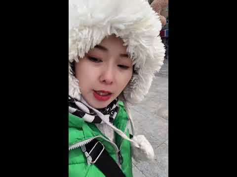 Spring Forest Live｜Feeding Wild Squirrels with Live Narration 🐿️🌲