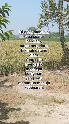 💥Menimbang Suara Dalam Diri.