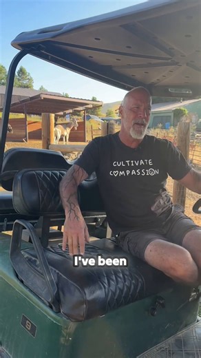 Thinking about hunting with pack goats? 🐐🏹 The first step might surprise you… It’s not about the hunt—it’s about the trail time. Learn why conditioning is the #1 key to success in the backcountry. | packgoats.com