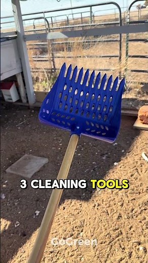 Top 3 Essential Tools Every Poultry Keeper NeedsA good feeder, a reliable waterer, and simple clean