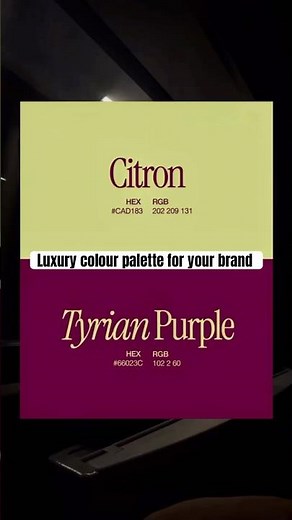 Best Luxury Color Palettes for Logos, Branding & Canva Design ✨ | Color Combinations 2025