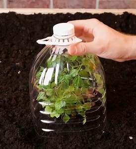 93K views · 171 reactions | Baking soda hacks you can use! | 5-Minute Crafts Teens | Facebook