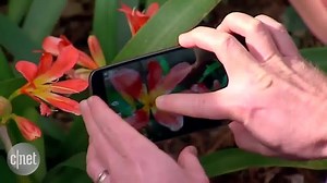 How to take better smartphone photos | CNET